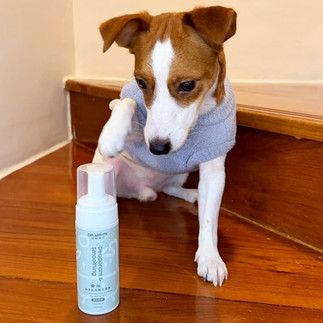 寵物乾洗慕斯推薦, 汪咪博士評價, 汪咪博士dcard ptt, 寵物乾洗澡推薦, 寵物乾洗澡dcard ptt, 寵物乾洗dcard, 寵物乾洗推薦, 貓咪乾洗澡dcard, hopet 乾洗 慕 斯, 貓咪乾洗慕斯, 狗狗乾洗澡推薦