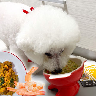寵物鮮食包推薦ptt, 寵物鮮食品牌, 狗狗鮮食dcard, 毛力士, Maolex, 毛力士汪品頂級系列, 寵物鮮食菜單, 狗狗鮮食推薦ptt, 狗鮮食包推薦, 狗狗吃鮮食的好處, 狗吃鮮食的壞處, 鮮食飼料一起吃, 狗狗不吃飼料只吃鮮食, 狗飼料混著吃, 狗吃飼料還是鮮食好, 狗狗鮮食食譜, 狗狗鮮食餐單, 老狗鮮食比例, 狗鮮食份量計算, 狗狗鮮食食材