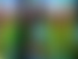 台北拍照景點【愛麗絲拯救仙境】行前必讀:拍照及服裝攻略