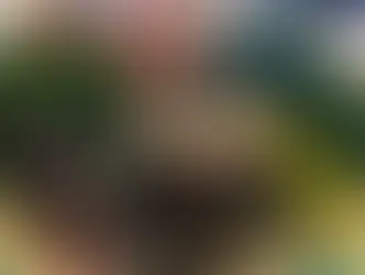 防彈咖啡推薦, 船井burner, 超孅黑咖啡, 極纖拿鐵, 高纖腰果拿鐵, dcard, ptt, 顏百駿醫師推薦