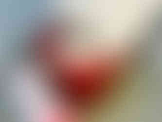 狗狗保健食品推薦ptt dcard, 狗狗氣管保健食品ptt, 狗狗氣管保健食品推薦, 寵物氣管保健推薦, 歸毛家族氣管寶評價, 歸毛家族評價, 狗狗心臟保健食品dcard ptt, 狗狗心臟保健食品推薦, 狗狗心臟保健推薦, 狗狗q10推薦ptt