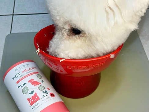 狗狗保健食品推薦ptt dcard, 狗狗氣管保健食品ptt, 狗狗氣管保健食品推薦, 寵物氣管保健推薦, 歸毛家族氣管寶評價, 歸毛家族評價, 狗狗心臟保健食品dcard ptt, 狗狗心臟保健食品推薦, 狗狗心臟保健推薦, 狗狗q10推薦ptt