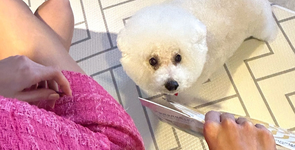 Best dog food, natural dog food, grain-free dog food, fresh dog food, fresh foods, super food for dog, organic pet food, healthiest dog food, best affordable wet dog food brands, vet recommended dog food, best dog food brands in the world, reddit, Walmart, homemade dog food