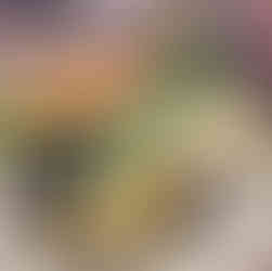 鮑魚, 平價燒肉吃到飽台北, 台北燒肉吃到飽推薦, 和牛燒肉吃到飽台北, a5和牛燒烤吃到飽台北, 平價燒烤吃到飽台北, 台北燒肉吃到飽dcard ptt, 台北平價燒肉吃到飽dcard, 台北燒肉推薦ptt dacrd, 台北平價燒肉ptt dcard, 三柒燒肉專門店