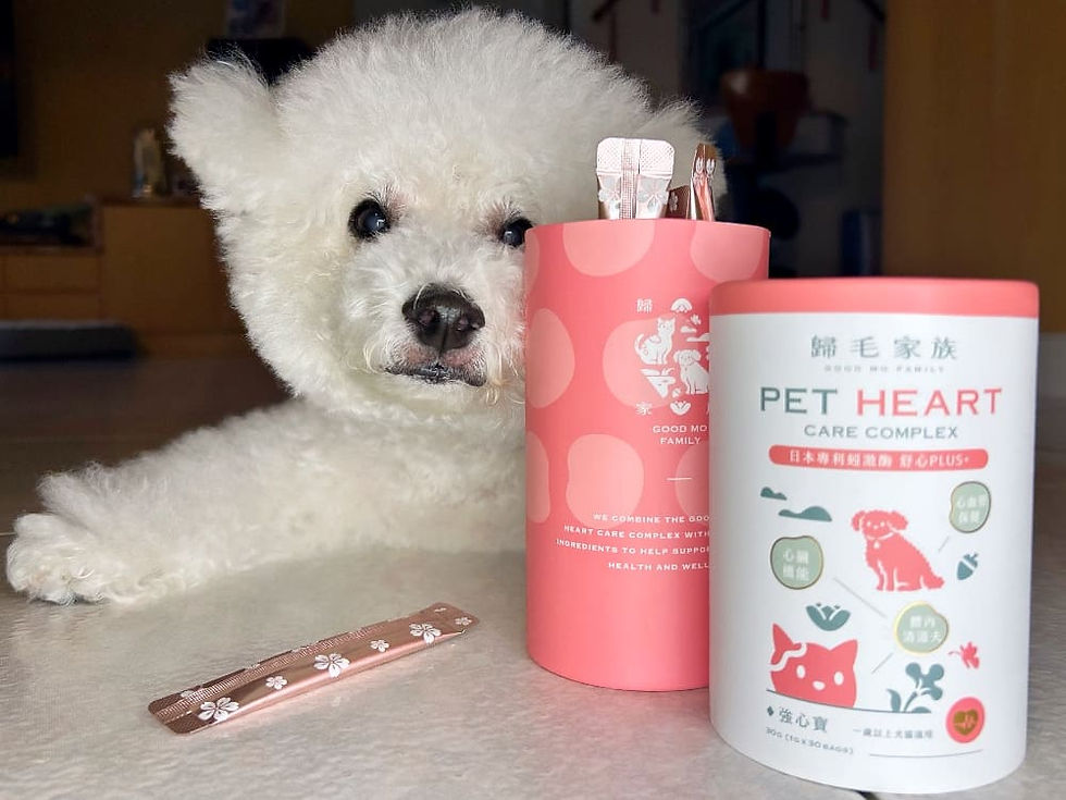 狗狗保健食品推薦ptt dcard, 狗狗氣管保健食品ptt, 狗狗氣管保健食品推薦, 寵物氣管保健推薦, 歸毛家族氣管寶評價, 歸毛家族評價, 狗狗心臟保健食品dcard ptt, 狗狗心臟保健食品推薦, 狗狗心臟保健推薦, 狗狗q10推薦ptt