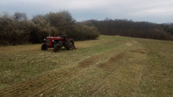 mf arbeitet ununterbrochen