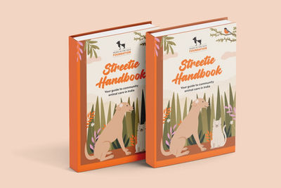 100 pager illustrative handbook