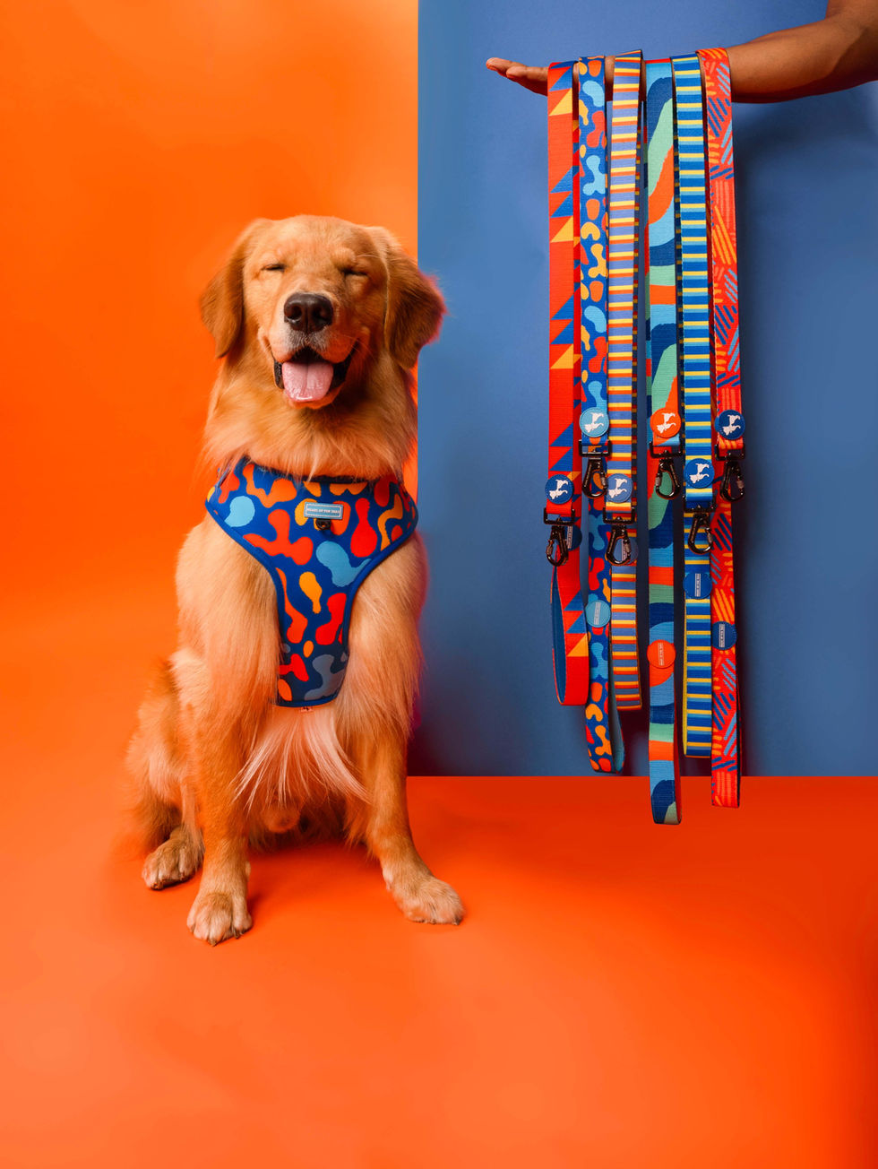 Summer Collection'23 - Harness/Leash/Collar