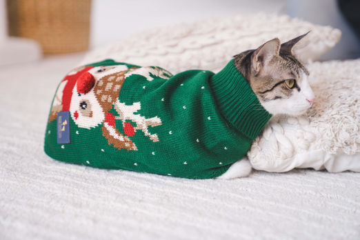 Winter collection - sweater design
