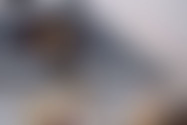 Строительство деревянного храма-часовни свщм. Петра и Николая Красногорских