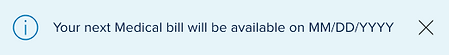 no payment (future bill avail).png