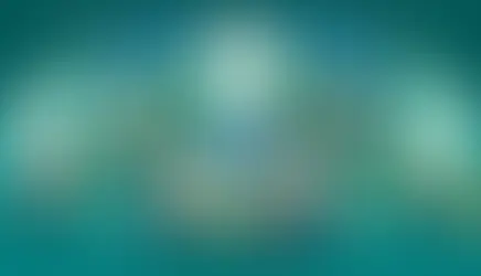 The Dynamics of Energy and Environmental Attributes and Future Pricing Trends