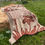 Thumbnail: The Bird shawl XL - Hamra  on Taupe  