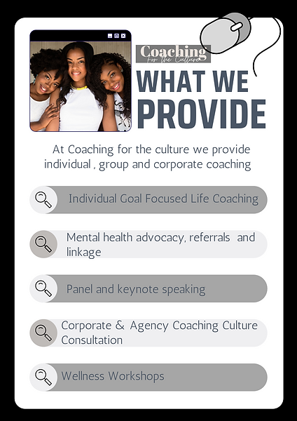 What we provide updated (2).png