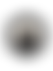 What's Seed Industries Up To?