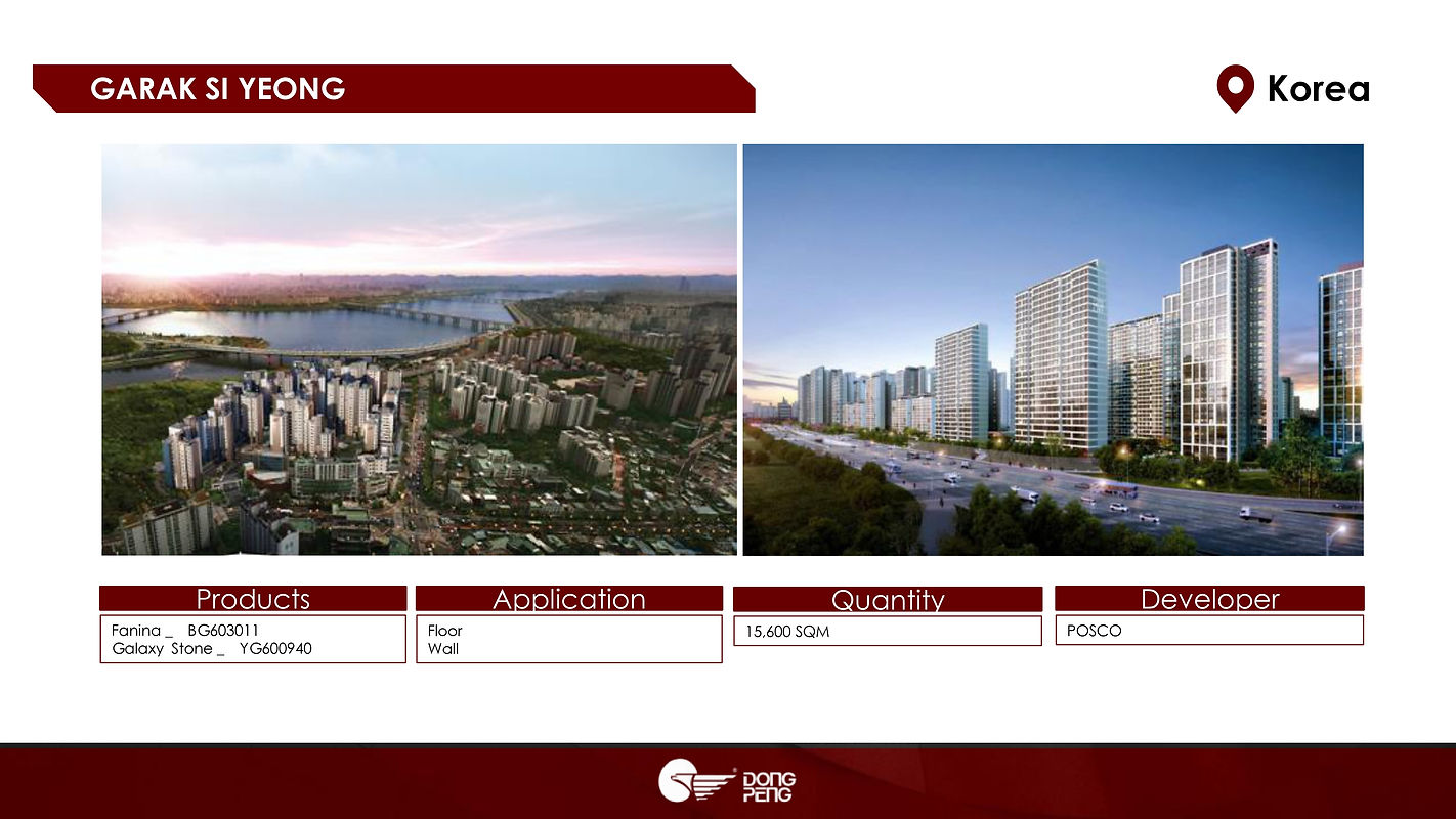 Dongpeng Major Overseas Projects(1)_page-0020.jpg