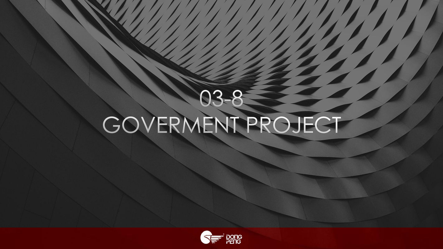 Dongpeng Major Overseas Projects(1)_page-0043.jpg