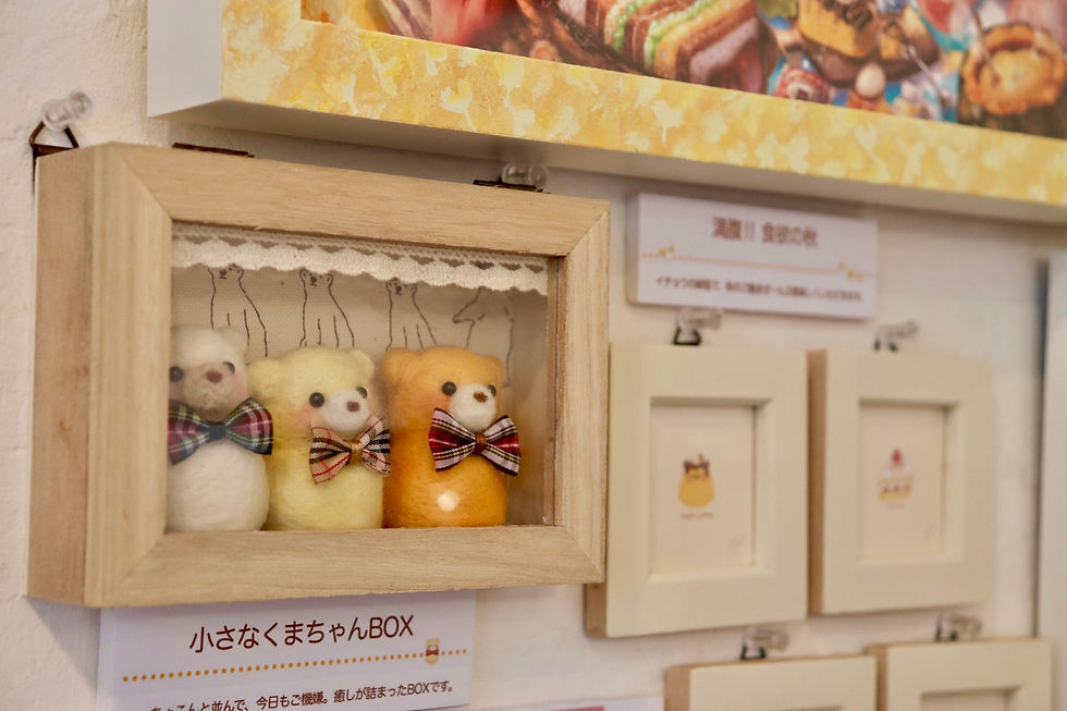 展示下部