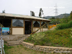 DSC04375.JPG