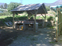 blackberry 084.jpg