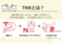 PNG用_飼い主のいない猫をなくすために_FINAL-3.png