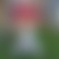 prosthetic arm for tennis