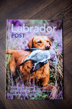 Cover 'Labrador Post'
