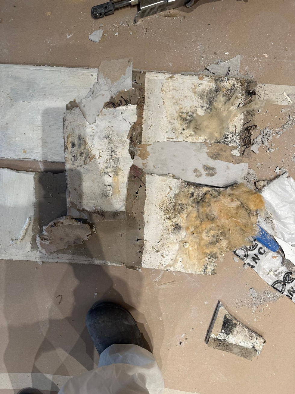 WhatsApp Image 2026-03-13 at 17.01.46.jpeg