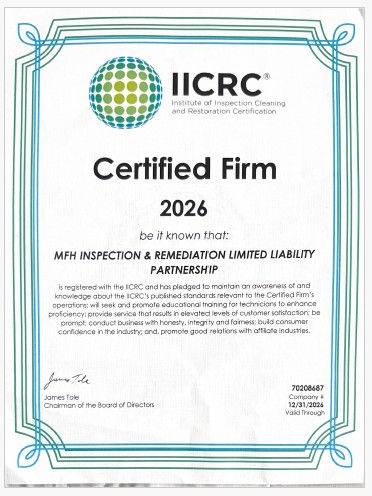 Certificate 11.jpg