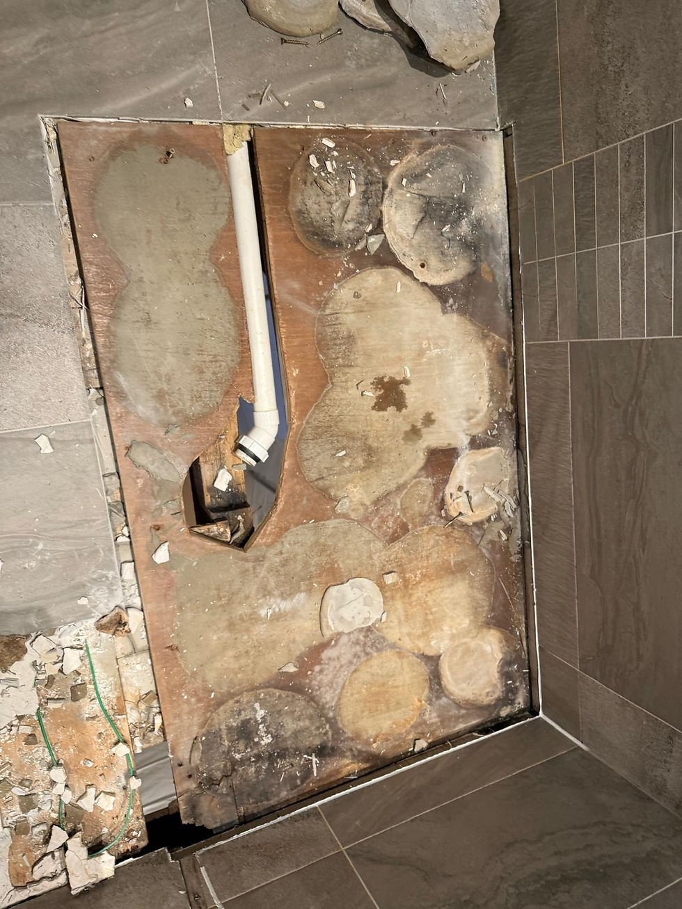 WhatsApp Image 2026-03-13 at 16.13.33.jpeg