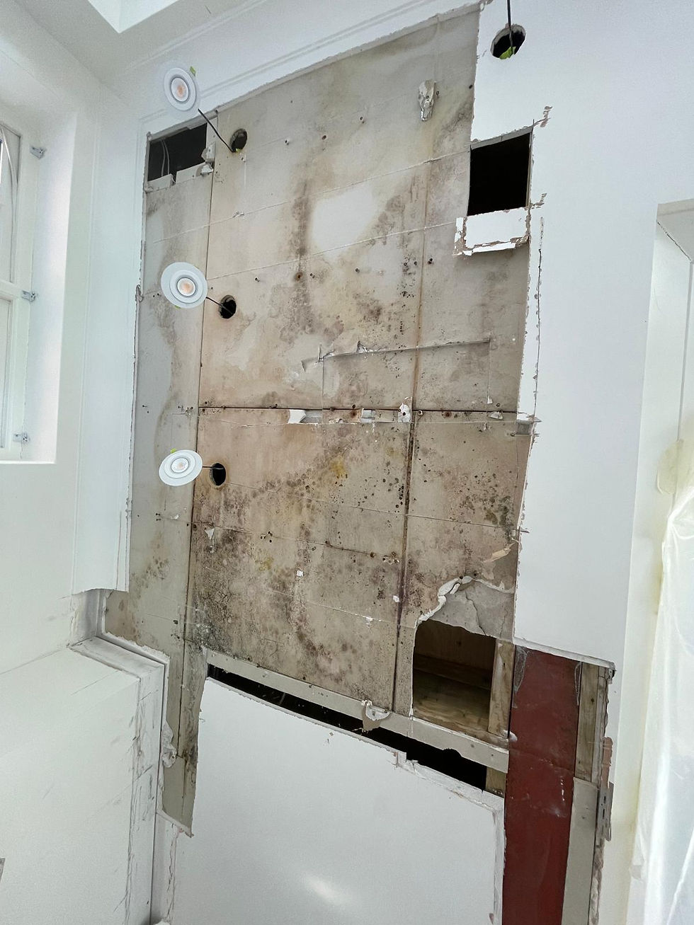 WhatsApp Image 2026-03-13 at 17.10.24.jpeg