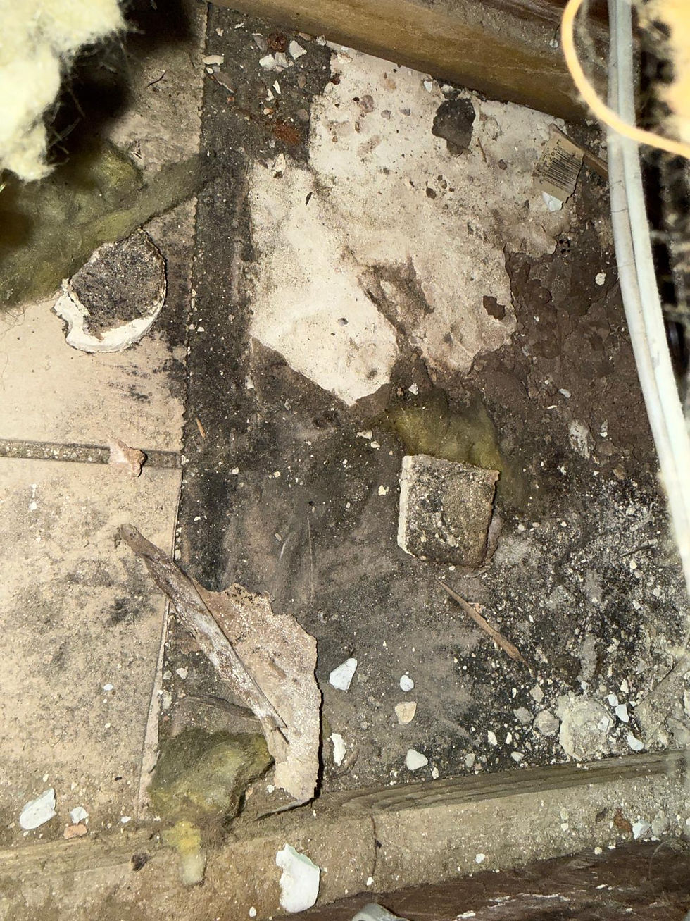 WhatsApp Image 2026-03-13 at 16.12.47.jpeg