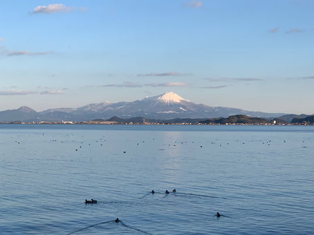 会社からの眺め