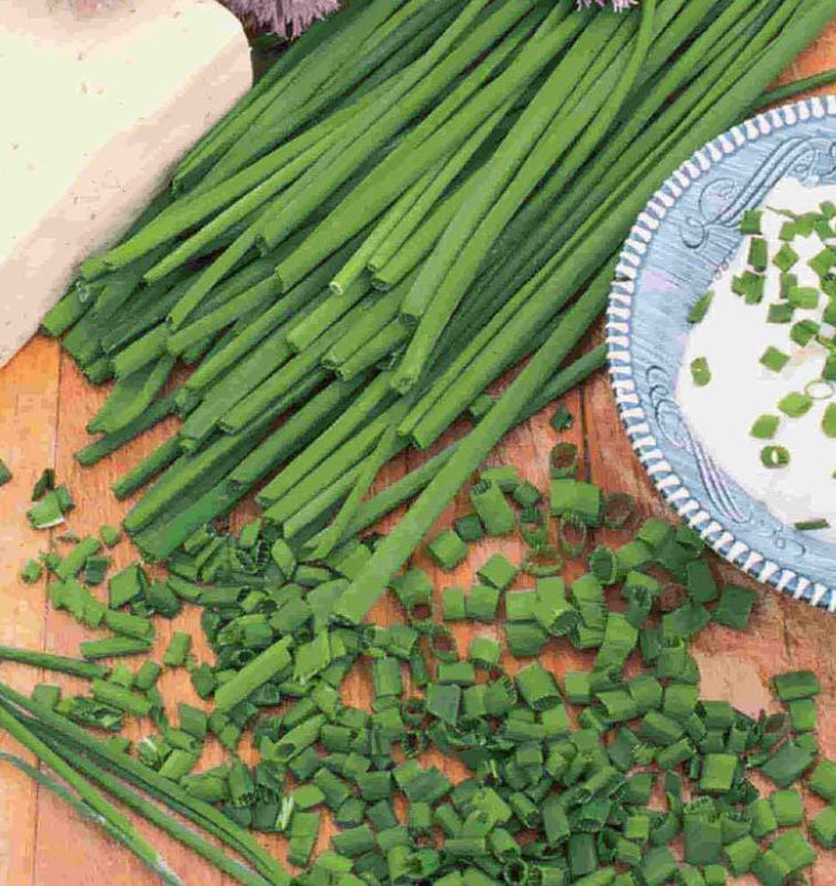 Chives