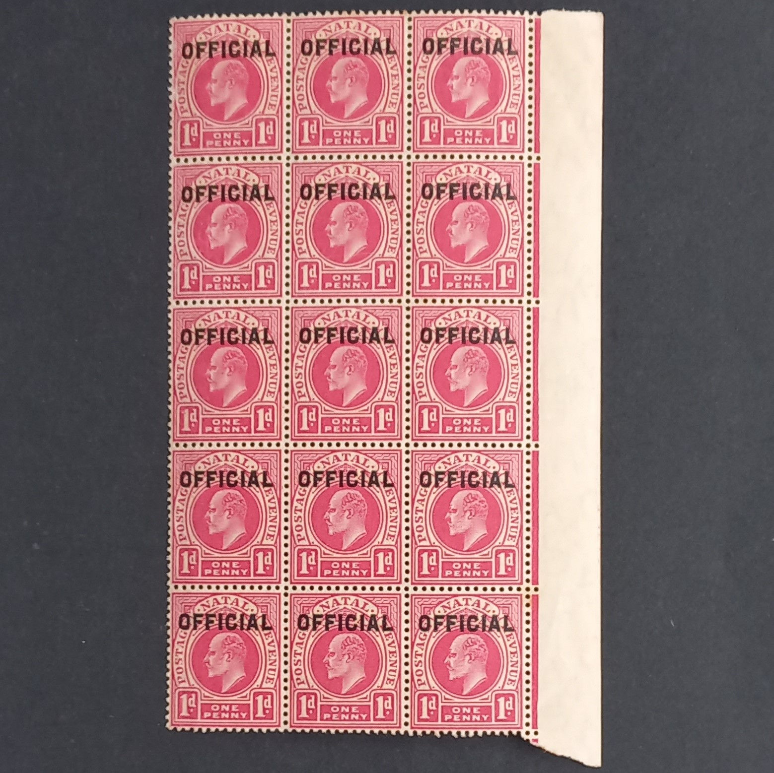 Lot #10 Natal - 1904 "Officials" - 1d Carmine - Superb Marginal Block of 15 - MN