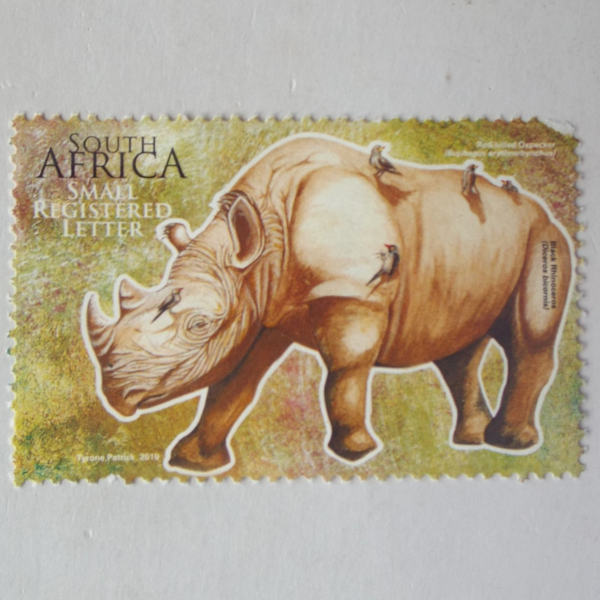 RSA - 2010 Year of Biodiversity - Oxpecker and Rhino - Single - Used