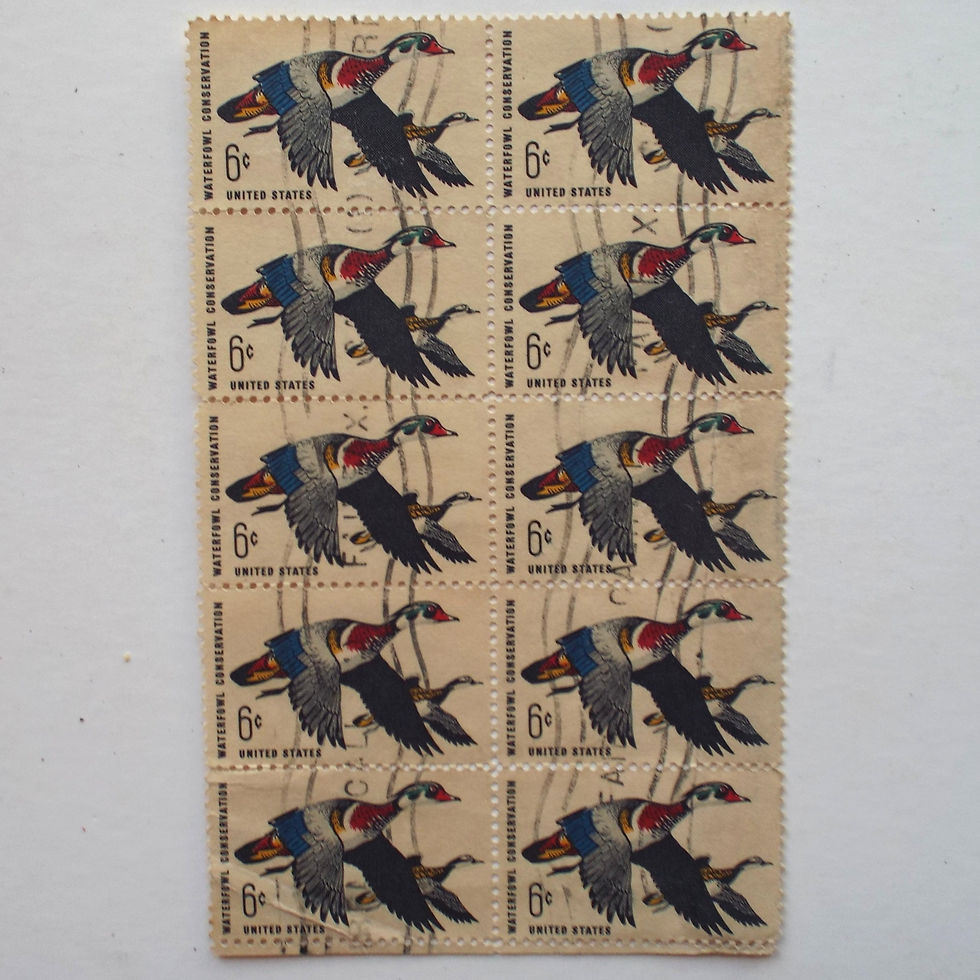 USA - 1968 Waterfowl Conservation - 6c - Block of 10 - Used