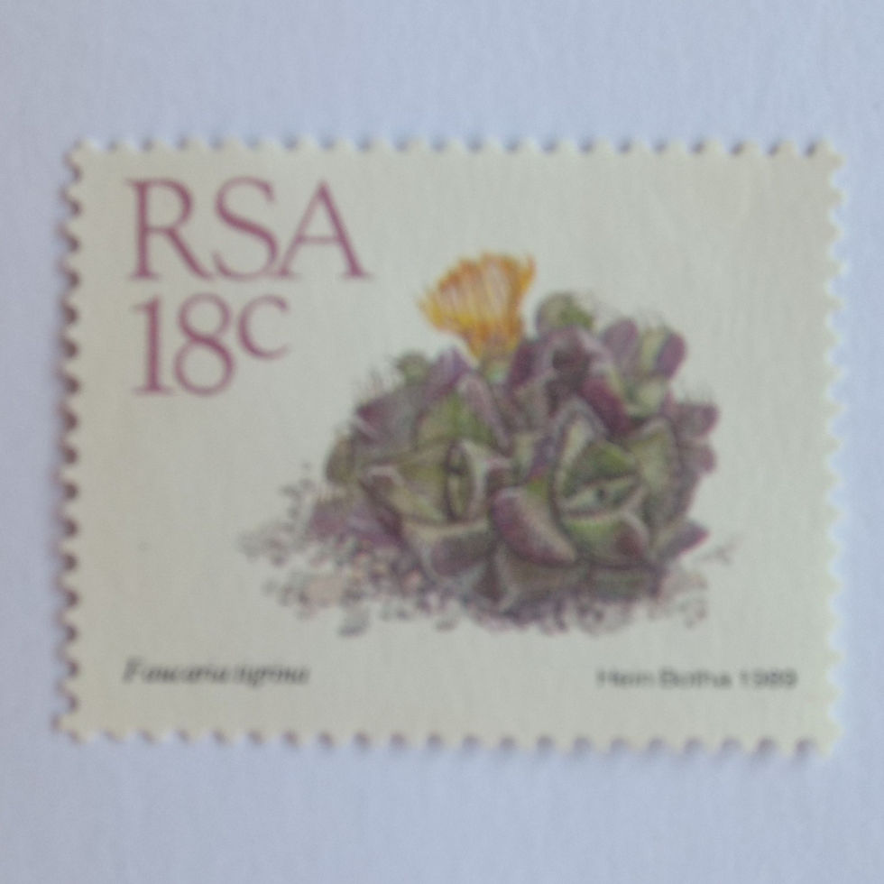 RSA - 1989 Addt Value to 5th Defin Issue - 18c - Single - Unused