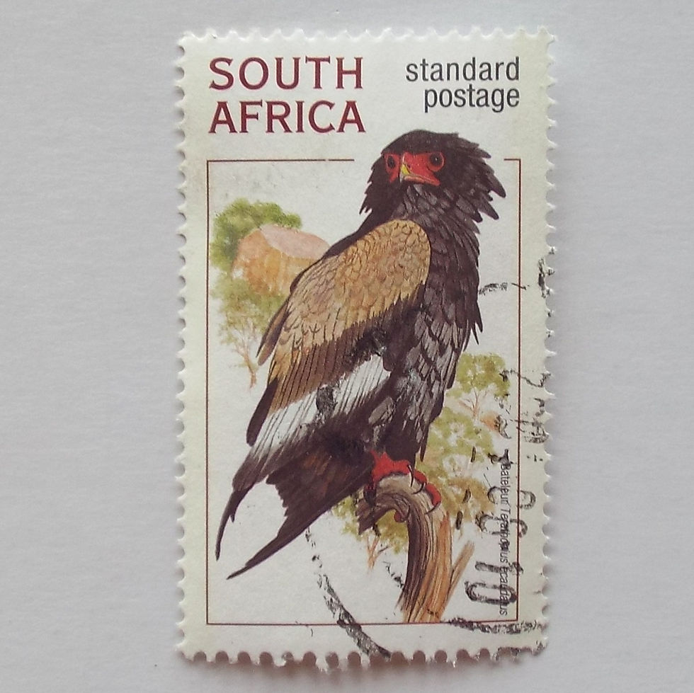 RSA - 1998 Raptors - Std Post Rate - Single - Postally Used