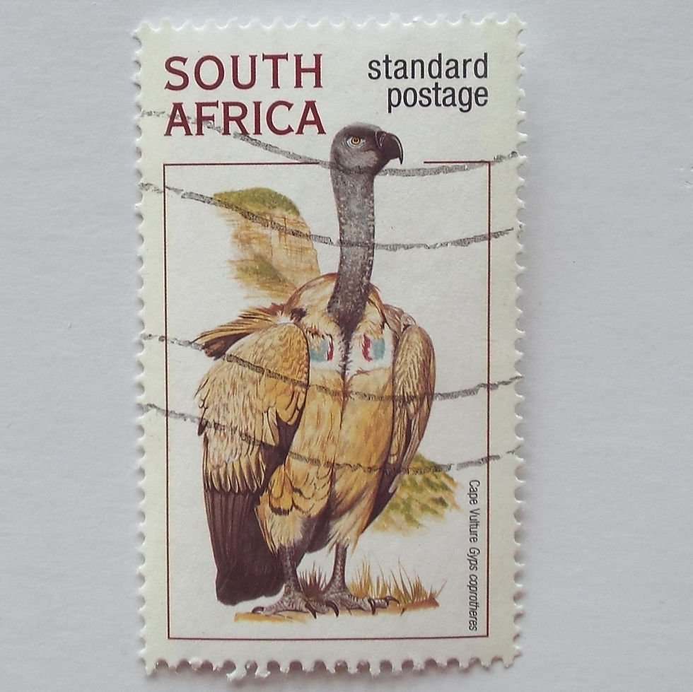 RSA - 1998 Raptors - Std Post Rate - Single - Postally Used