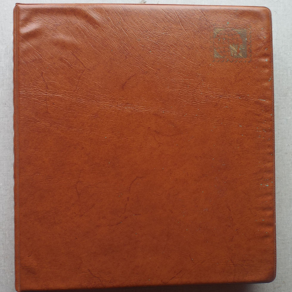 FDC Album - 20 Double-sided Album Pages - Includes Venda FDC's, Collectors Cards