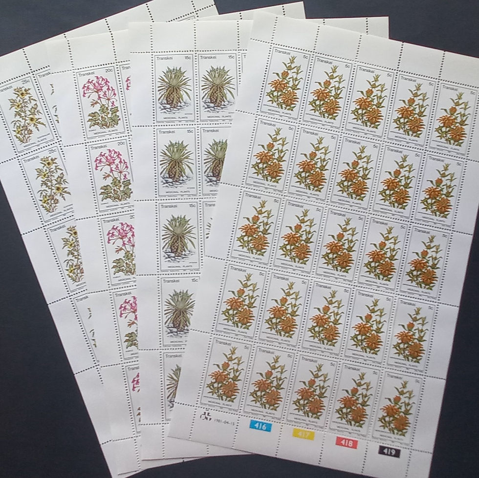 Transkei - 1981 Medicinal Plants - Full Set of Full Sheets of 25 - Unused