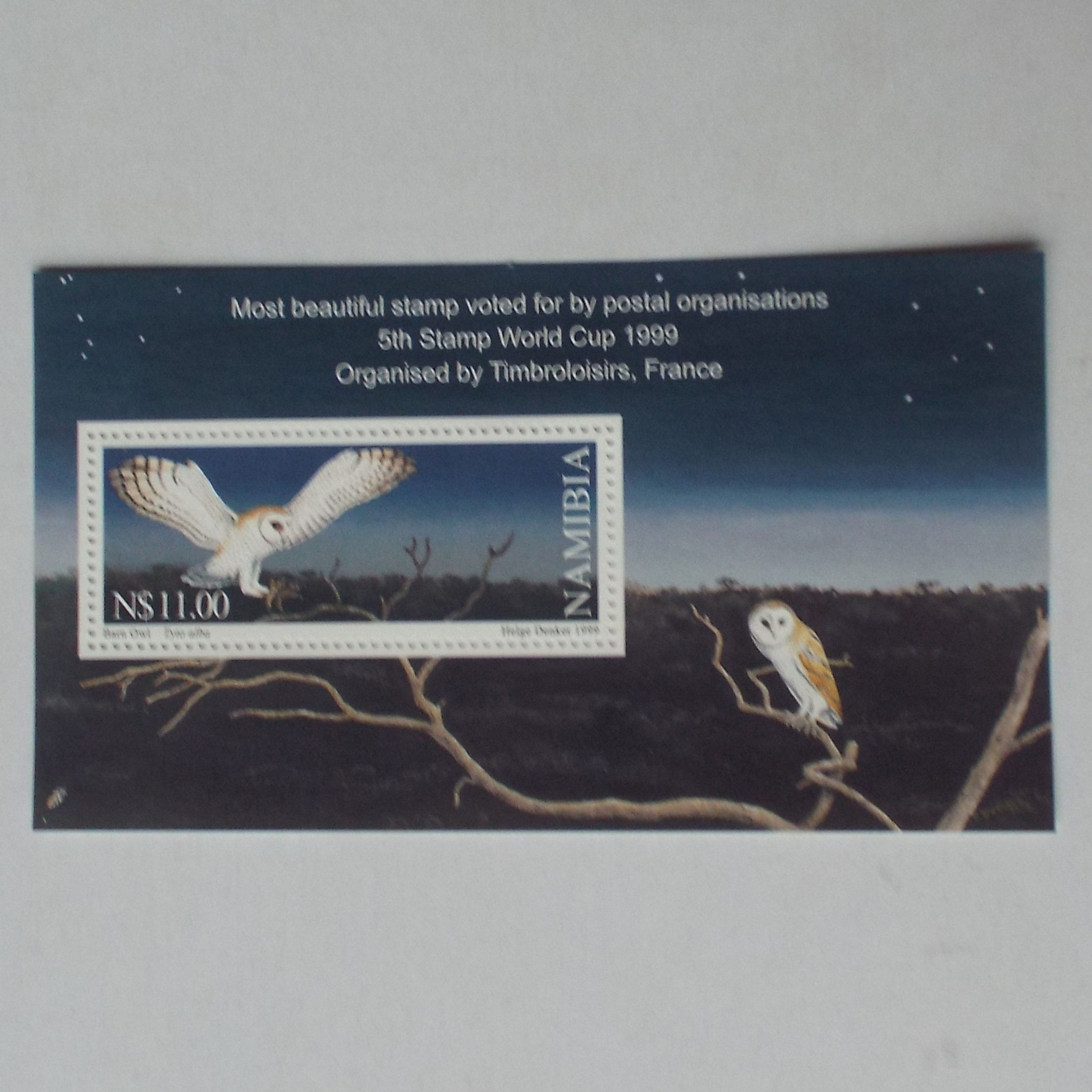 Namibia - 1999 Barn Owl. Most Beautiful Stamp - Miniature Sheet - UMM
