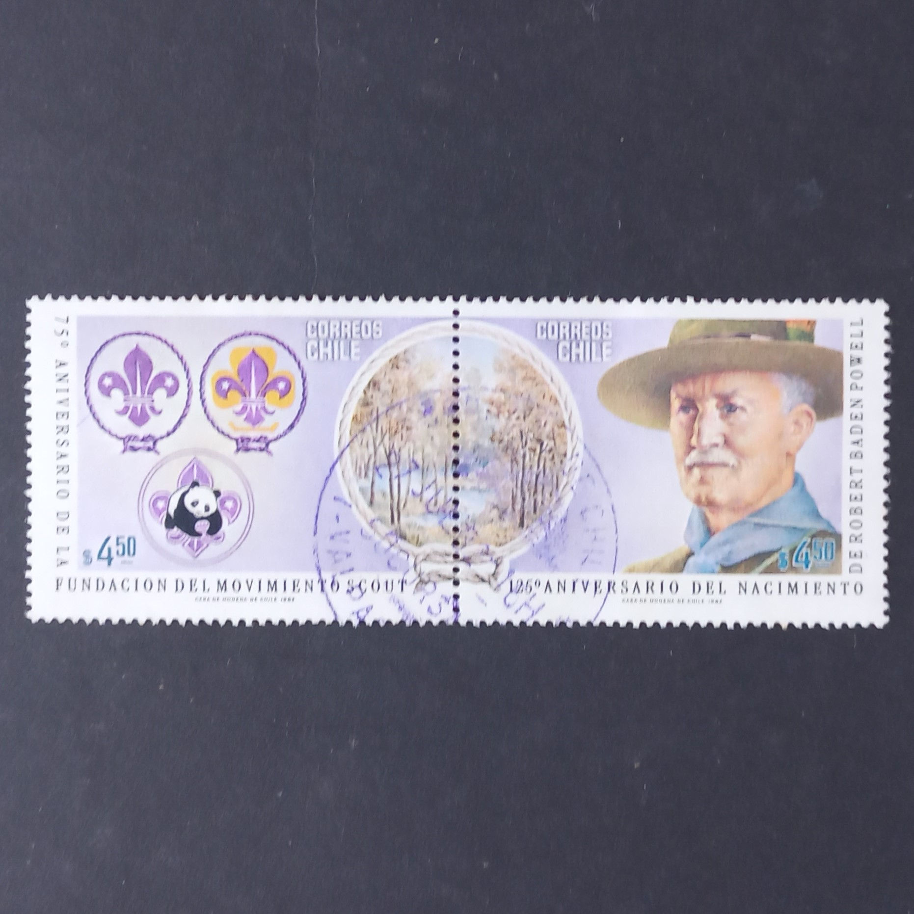 Thematics - Boy Scout Movement - Chile - 1982 - Set in Setenant Pair