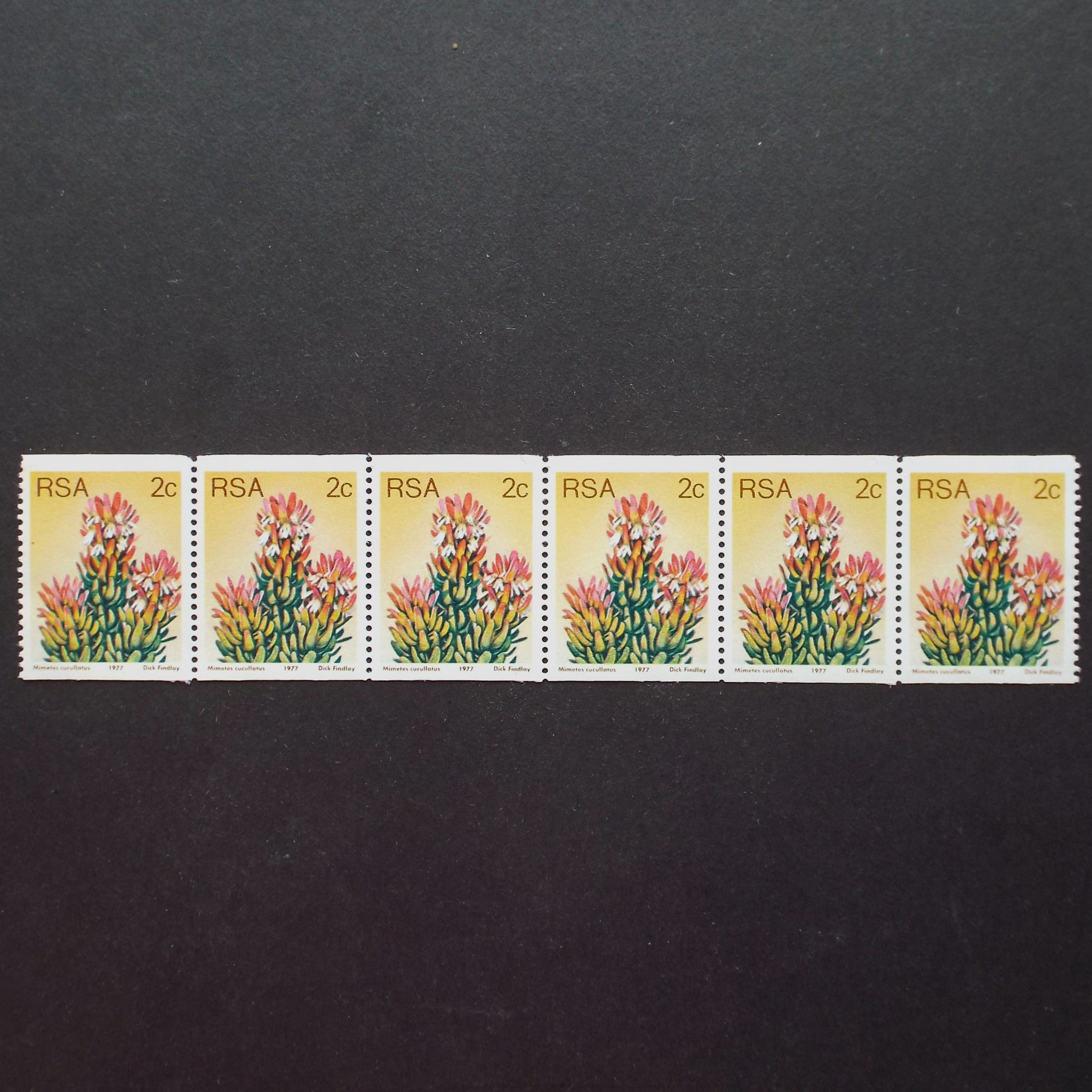 RSA - 1977 3rd Defin Issue "Coil Stamps" - 2c - Strip of 6