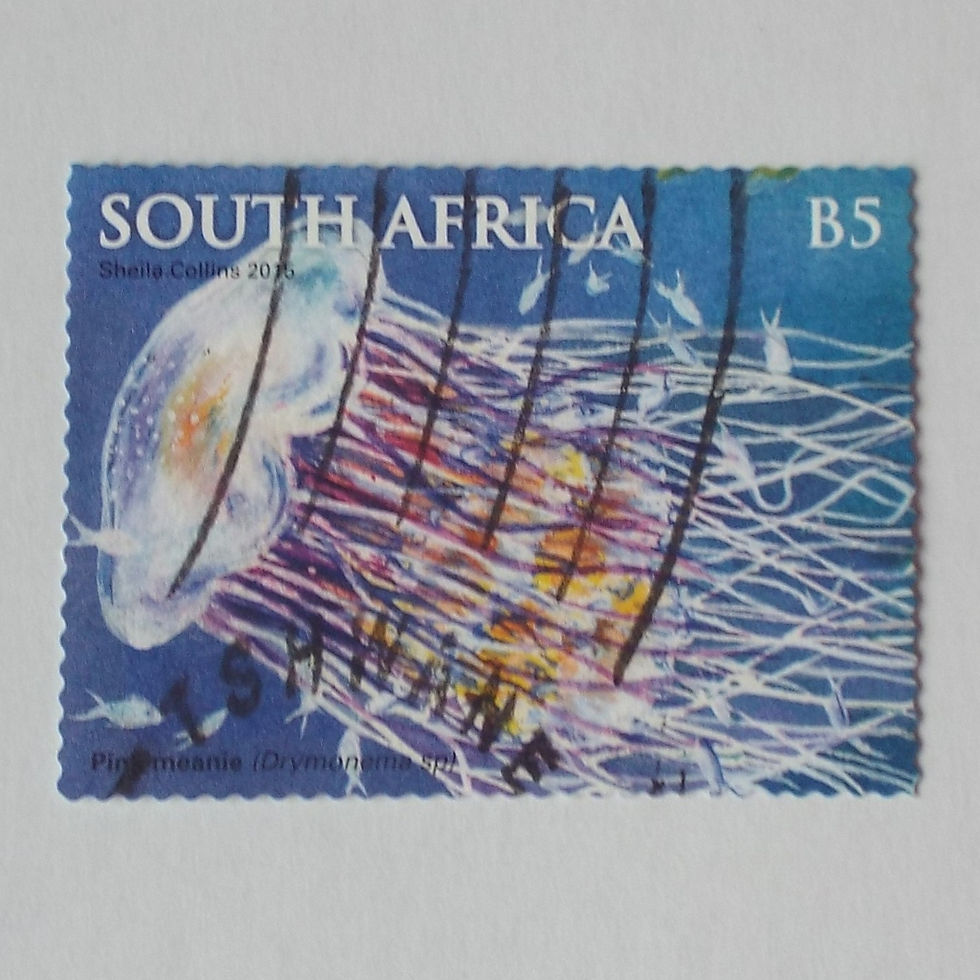 RSA - 2015 Jellyfish in SA "Pink Meanie" - B5 Post Rate - Single - Postally Used