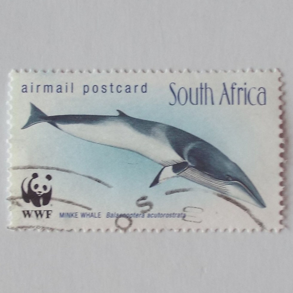 RSA - 1998 Whales of Southern Oceans - Airmail Rate - Single - Postally Used