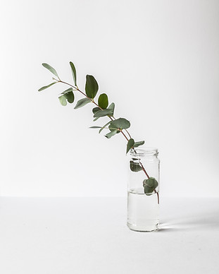 Branch in a Glass Jar