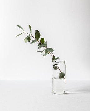 Branch in a Glass Jar