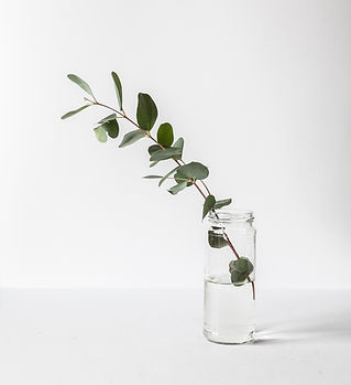 Branch in a Glass Jar